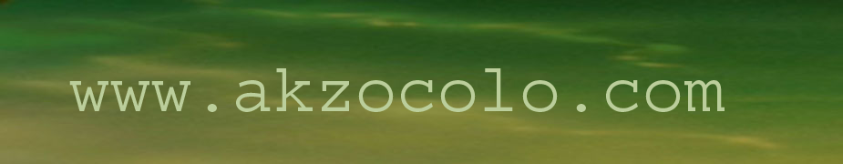 akzocolo logo